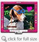 Skitch Screenshot