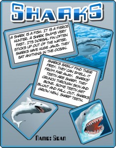 Shark poster created by a student