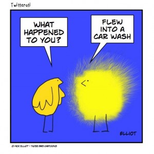 Those Bird Cartoons Those Bird Cartoons