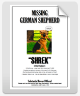 Missing Shrek poster