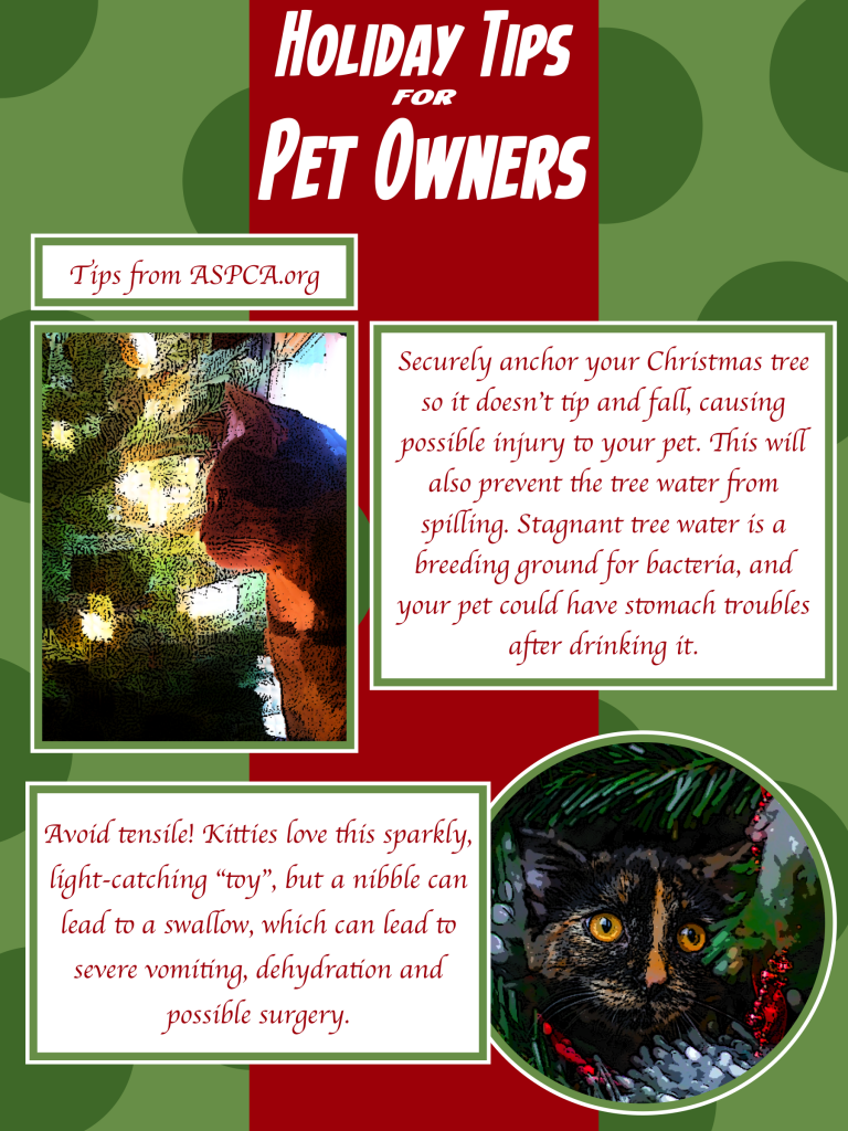 Tips for keeping your pet safe this holiday